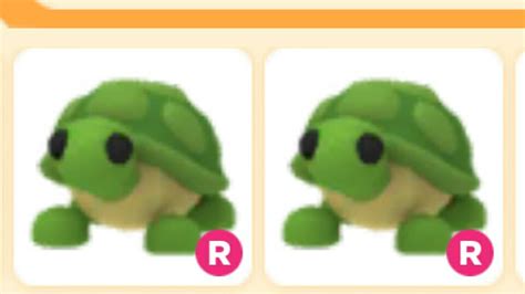 Adopt Me Turtle Toys And Games Video Gaming In Game Products On Carousell