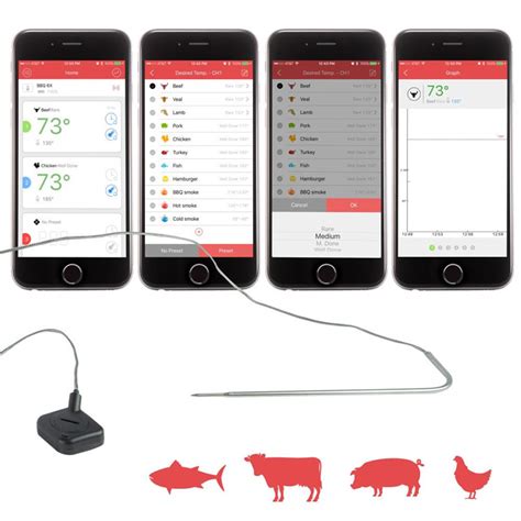Bluetooth Meat Thermometer