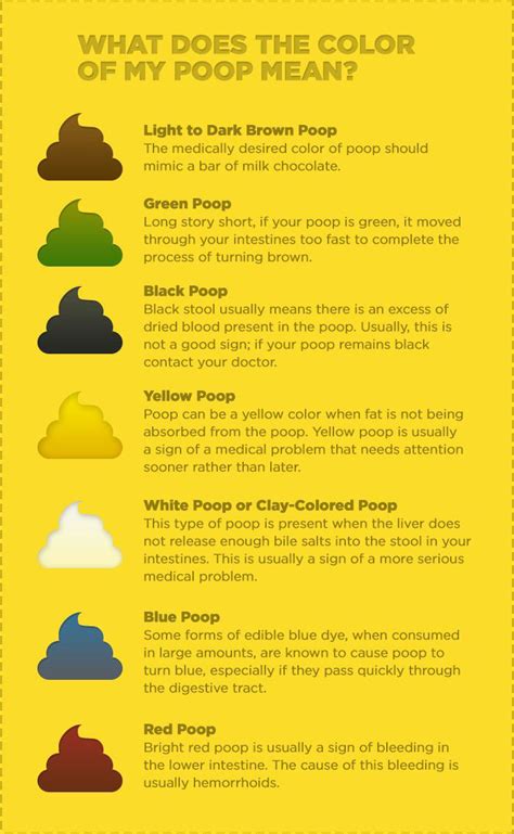 What Does The Color And Consistency Of Your Poop Say About You