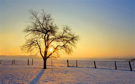 43 Winter Sunrise Wallpaper On Wallpapersafari