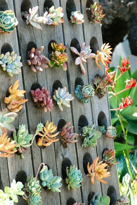 The 50 Best Vertical Garden Ideas And Designs For 2021