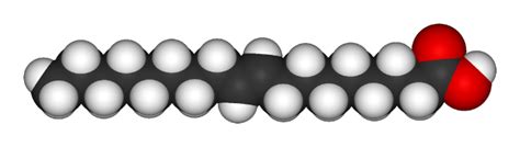 The Truth About Trans Fats Cytoplan