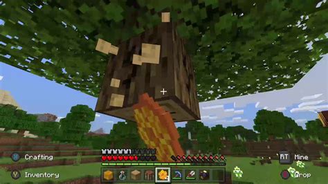 Bees have finally made their way into minecraft. Minecraft BEE Update - YouTube