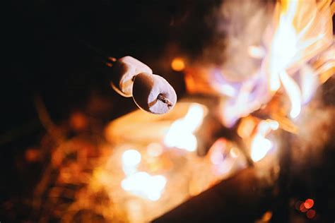 Smores Campfire Stock Photos Pictures And Royalty Free Images Istock