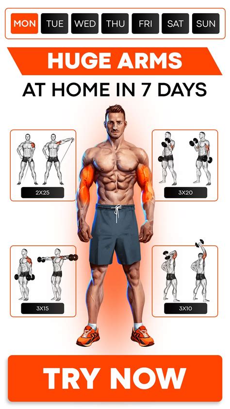 huge arms workout for men get yours workout training programs arm workout men workout programs