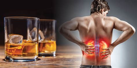 Alcohol And Your Kidneys Symptoms And Treatment Of Kidney