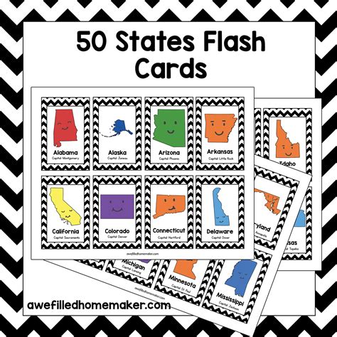 Richele Design And Branding Services 50 States Flash Cards