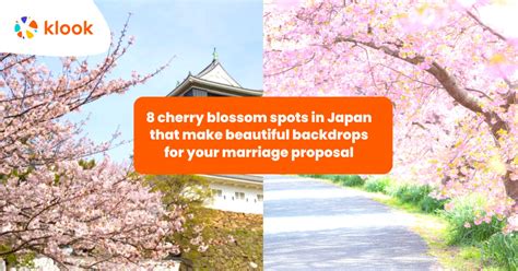 8 Cherry Blossom Spots In Japan That Make Beautiful Romantic Backdrops Klook Travel Blog