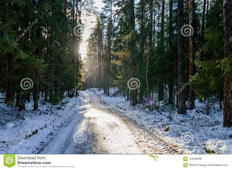 Country Road In Winter Stock Photo Image Of Travel 104629298