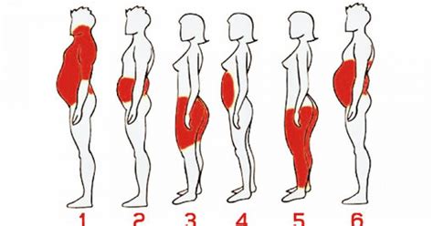 6 Different Types Of Body Fat And How To Get Rid Of Them
