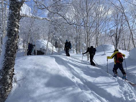 Hokkaido Japan Trip Report Hunting The Deepest Snow The North Island