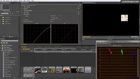 While editing in adobe premiere cs5, that hiss can disrupt dialogue or natural sounds that need to be captured. Color Grading and finishing in Premiere Pro CS5.5 | Color ...