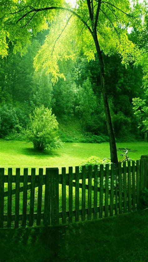 Wallpaper Nature Green Android With Image Resolution Hd Wallpaper For