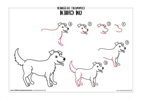 Dessin Facile Chien Nouveau Photos Ment Dessiner Un Chien En 6 étapes