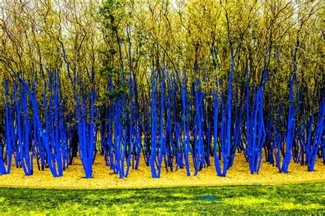 The Blue Trees Tree Art Installation Art Public Art