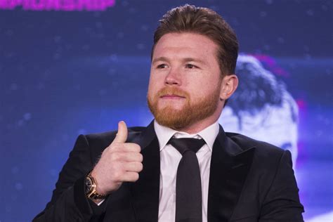Saul 'canelo' alvarez is a mexican professional boxer. 'Canelo' Alvarez says he didn't run from GGG in first ...
