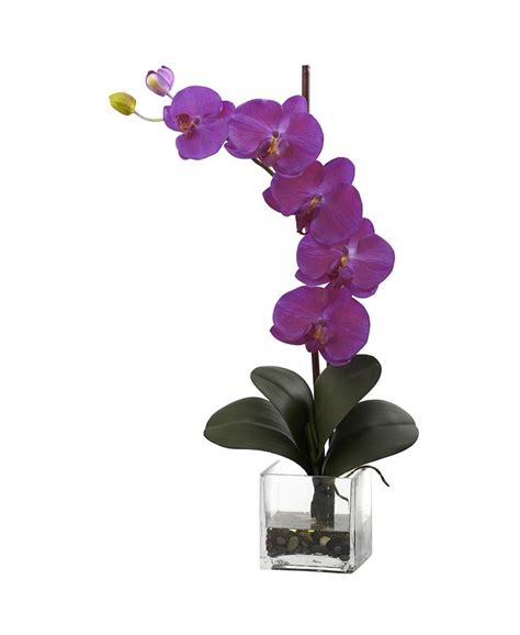 Nearly Natural Giant Phalaenopsis Orchid W Vase Arrangement Macy S