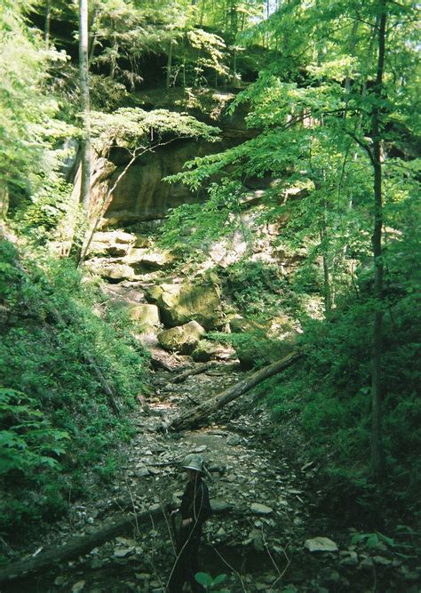 Hoosier National Forest Hemlock Cliffs Special Place And Trail Hiking