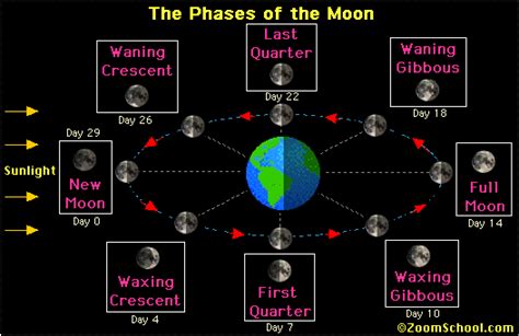 Phases Of The Moon Zoom Astronomy
