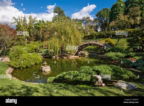 The Beautifully Renovated Japanese Gardens At The Huntington Library