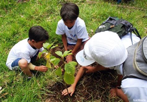 Cómo Pueden Los Niños Cuidar El Medio Ambiente Parques Alegres Iap