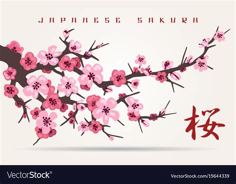 Japan Cherry Blossom Tree Branch Royalty Free Vector Image