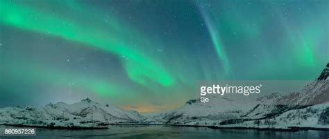 Aurora Borealis Plant Photos And Premium High Res Pictures Getty Images