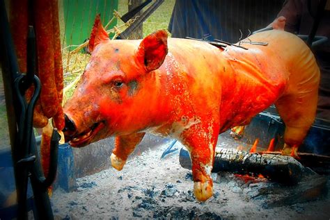 Campfire Cheese Pig On A Spit And Other Medieval Cooking Blackwolf