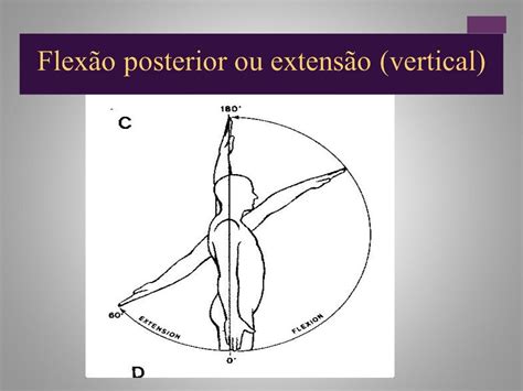 Dor Em Membros Superiores Cid