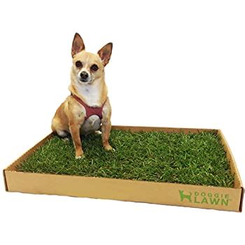 Amazon.com : DoggieLawn Disposable Dog Potty with Real Grass : Pet Training Pads : Pet Supplies