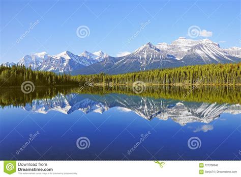 Early Morning View Of Herbert Lake Stock Photo Image Of Trees Blue