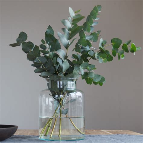 Foliage For Flower Arrangements Flower Magazine