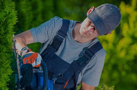 Licensed and insured in missouri. Lawn Care Services Springfield MO - Local Lawn Care Near Me