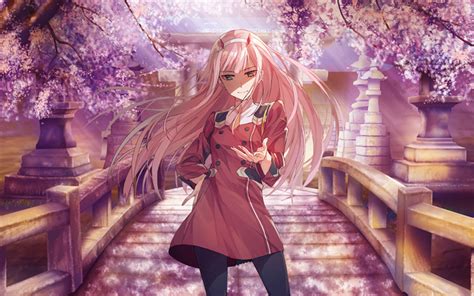 Zero Two Wallpaper Cherry Blossom Anime Wallpaper Hd
