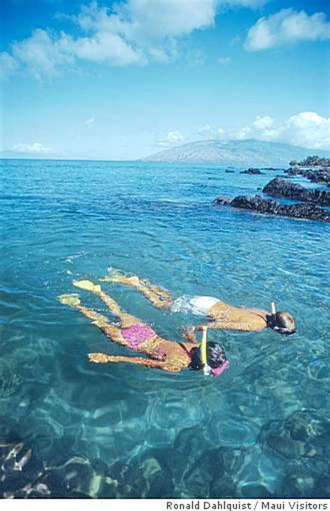 Top Snorkel Spots Along Mauis Shores