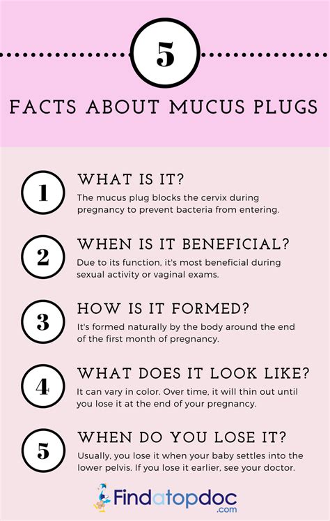 What Is A Mucus Plug What Does A Mucus Plug Look Like