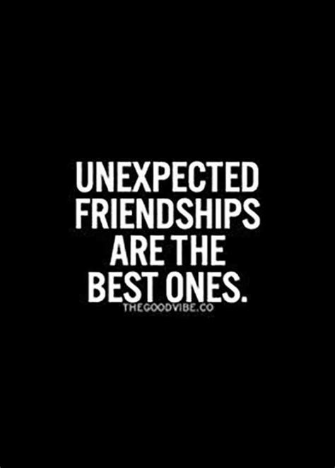 50 Friendship Quotes To Share With Your Best Friend Human Diary And Other Half New Friend