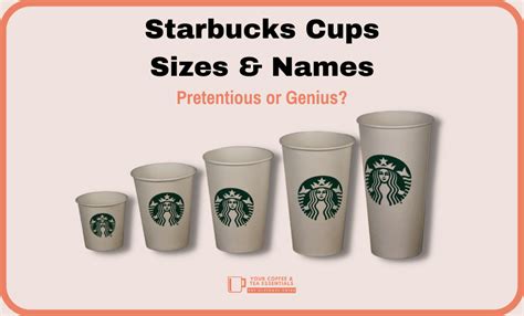 Starbucks Cup Sizes And Names Everything You Need To Know 49 Off