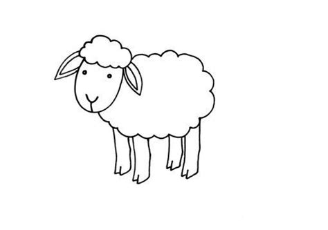 OVEJAS DIBUJOS PARA COLOREAR – Dibujos para colorear