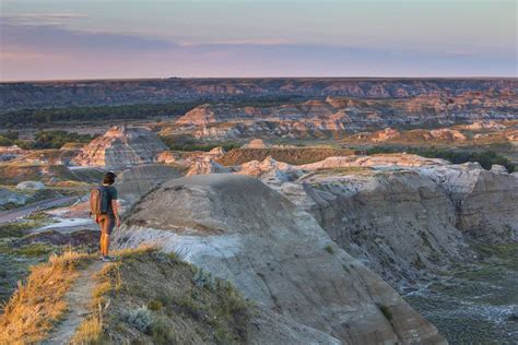 The Ultimate Guide For Visiting Dinosaur Provincial Park For 2024