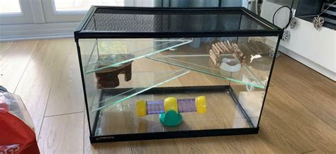 Glass Hamster Cage And Extras In Yateley Hampshire Gumtree