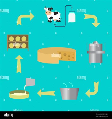 schema das den prozess der käseherstellung zeigt vom melken der kuh bis zum