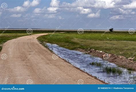 The Path Through The African Savanna After The Rain Stock Photo Image