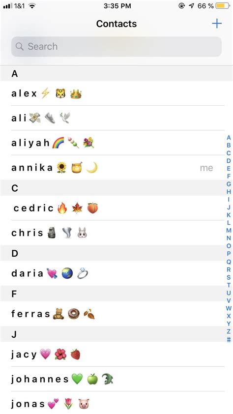 ･ﾟ ･ﾟaesthetic Contact Names ･ﾟ ･ﾟ Emoji Combinations Cute