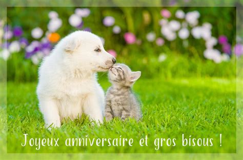 Joyeux Anniversaire Cartes Virtuelles Gratuites Carte Danniversaire