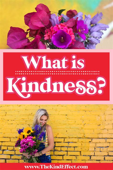 What Is Kindness — The Kind Effect