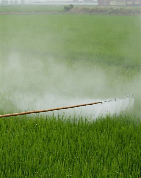 Scientific Panel Advises Epa On Whether Glyphosate Causes Cancer The Miller Firm