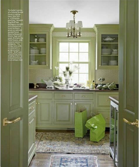 Does it have a name yet? Kitchen Inspiration-LOWES VALSPAR BETSY ROSS MOSS PAINT COLOR WALL | Green kitchen cabinets ...