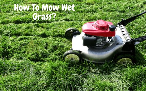 How To Mow Wet Grass Expert Guide And Tips