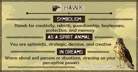 Hawk Meaning And Symbolism In 2020 Spirit Animal Meaning Hawk